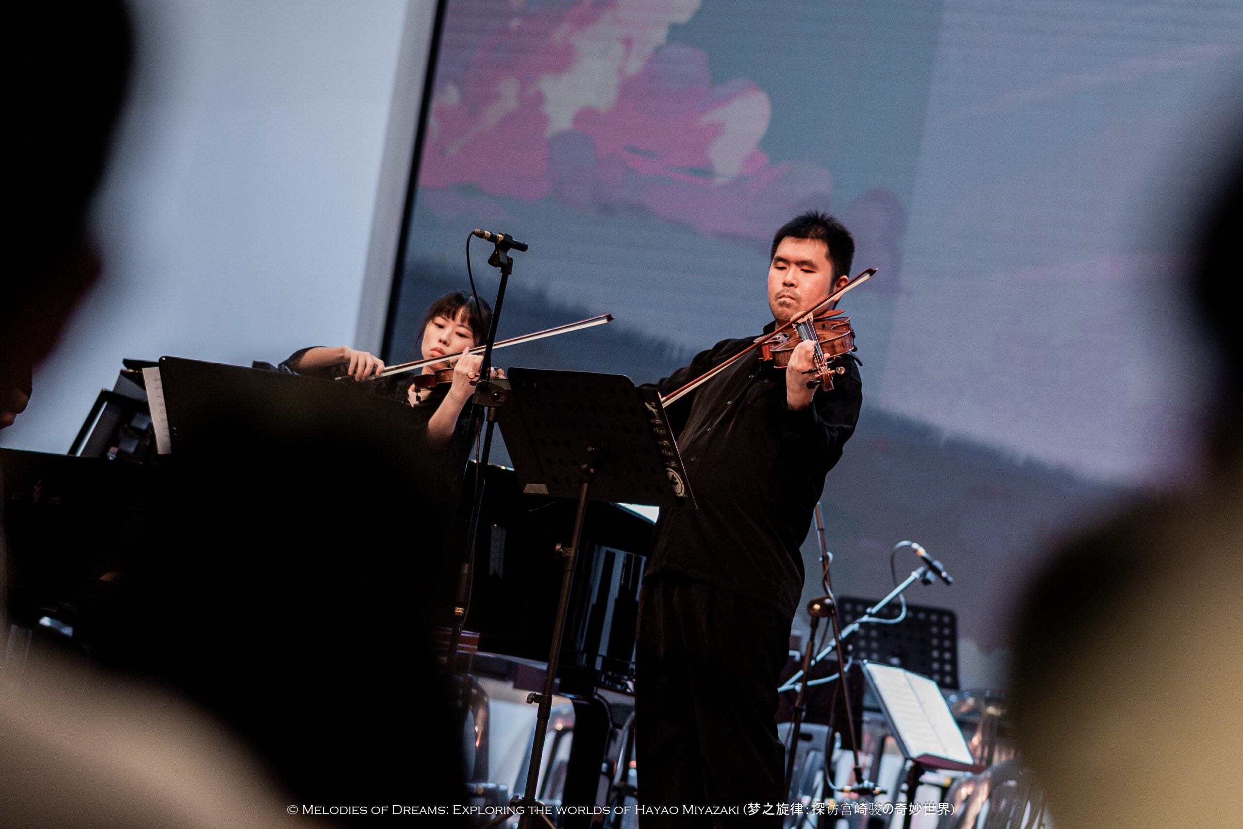 melodies of dreams 1113