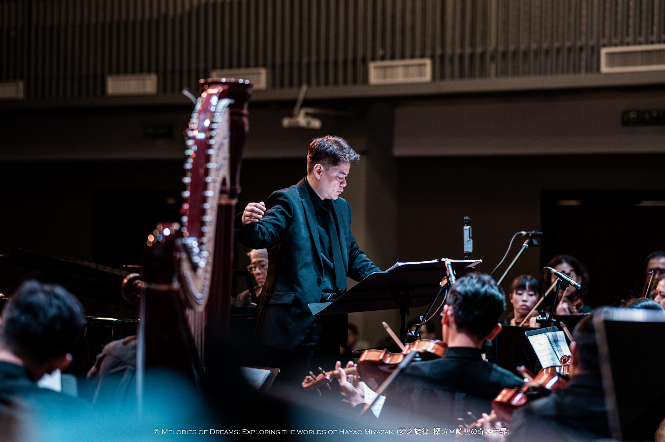 melodies of dreams 1129